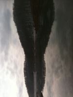 Nature Creates Human